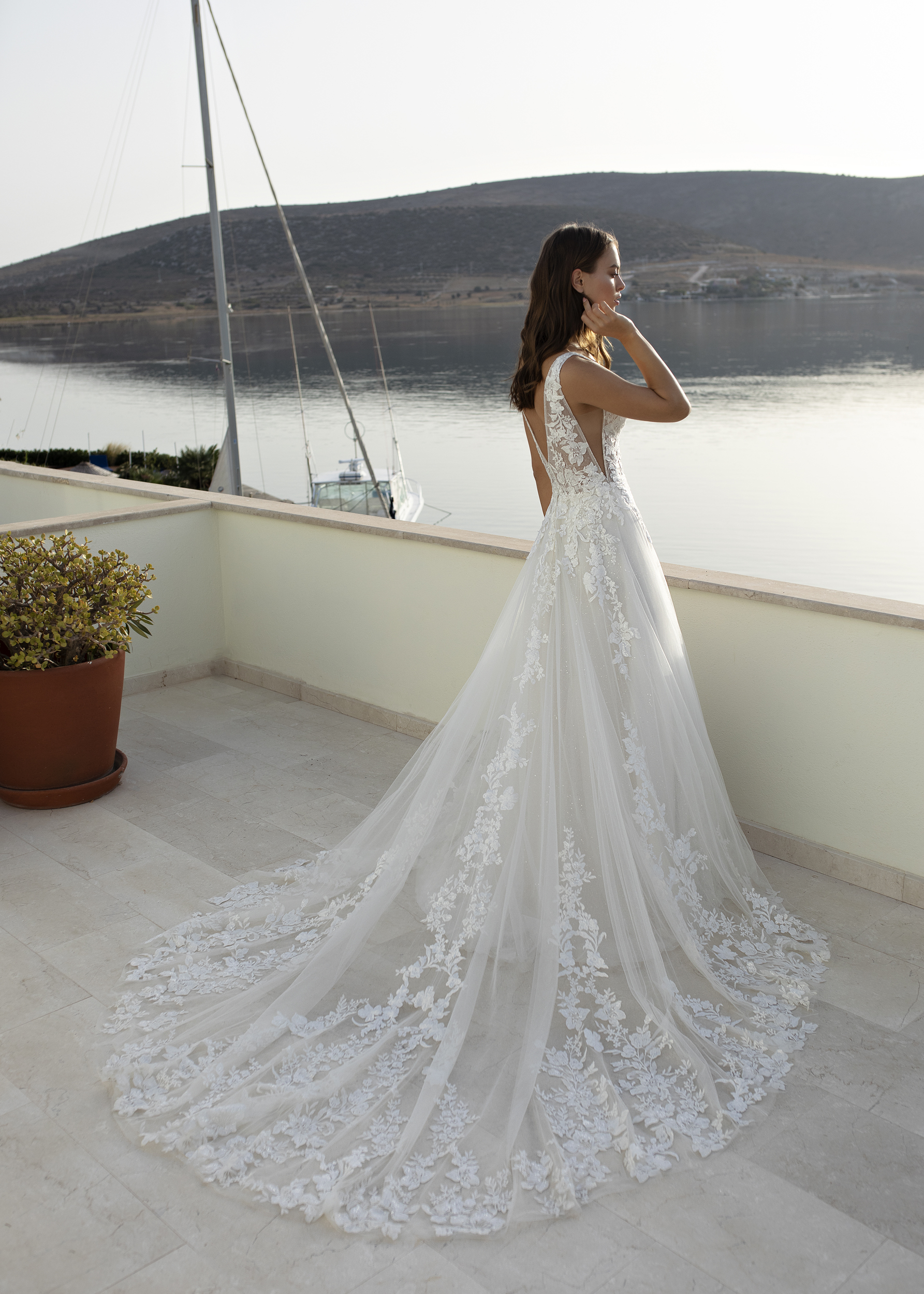 Papillon_2022_Odina_Back_7436