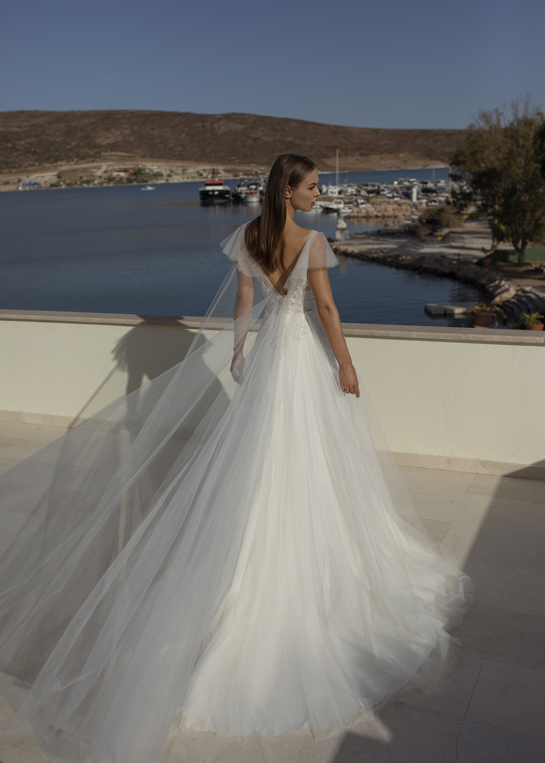 Papillon_2022_Olda_Back_4069