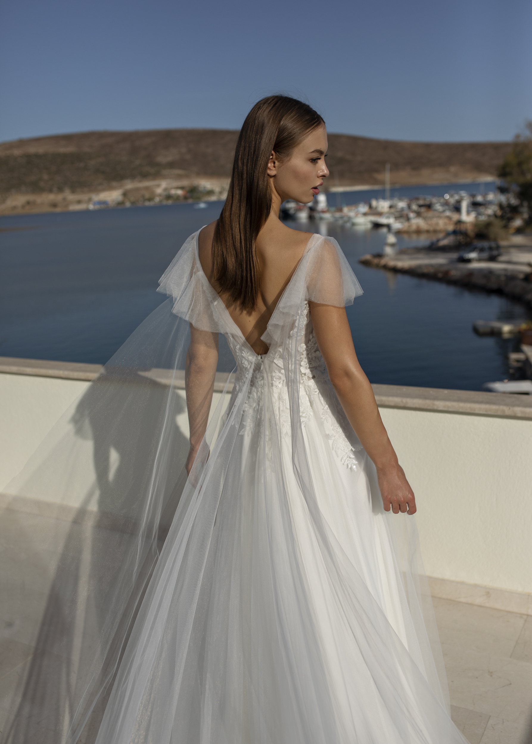 Papillon_2022_Olda_CU_Back 1_4084