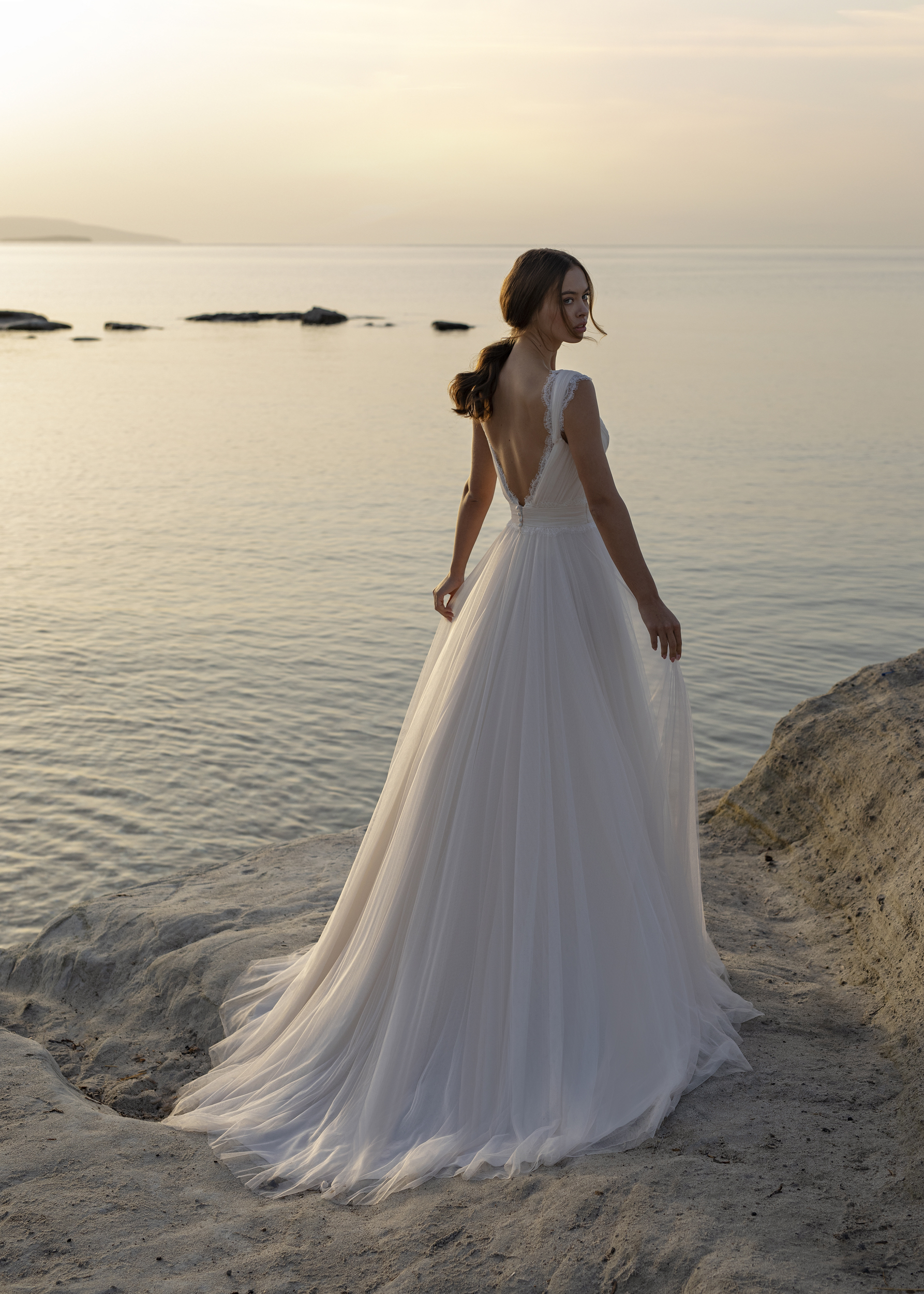 Papillon_2022_Osma_Back_0012